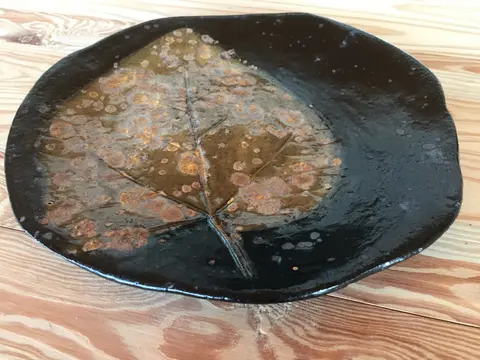 Siyah tabakta güzel güz yaprakları