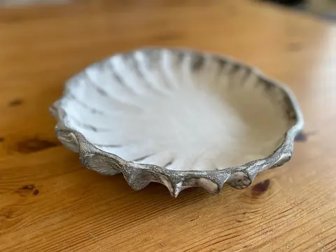 Yeni deniz kabuğu formunda taş tabaklarımız