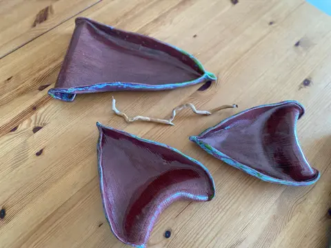 Muz ağacı seyri güzel bi ağaçtır,çiçeğinin de taç