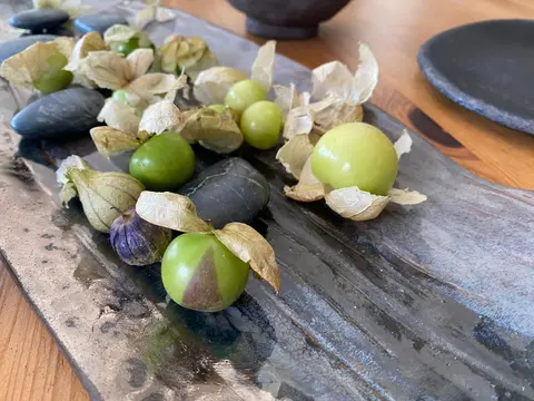 Tomatillo ile yeni tanıştım domatese benzeyen meksika