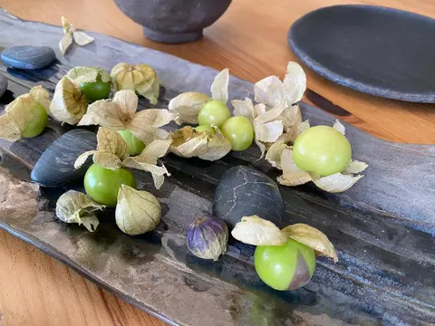 Tomatillo ile yeni tanıştım domatese benzeyen meksika