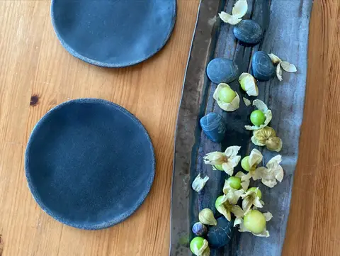 Tomatillo ile yeni tanıştım domatese benzeyen meksika